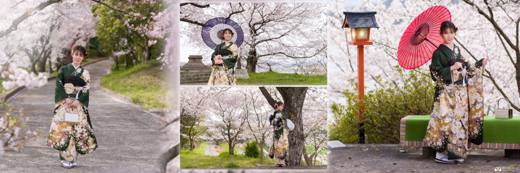 香川県三豊市内の桜並木で振袖の撮影