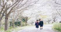 入学記念写真は香川県三豊市のキング写真館