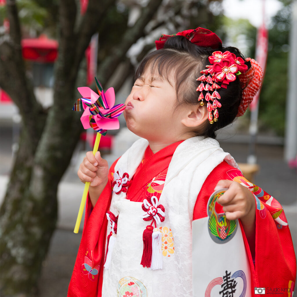 七五三撮影は香川県三豊市のキング写真館へ