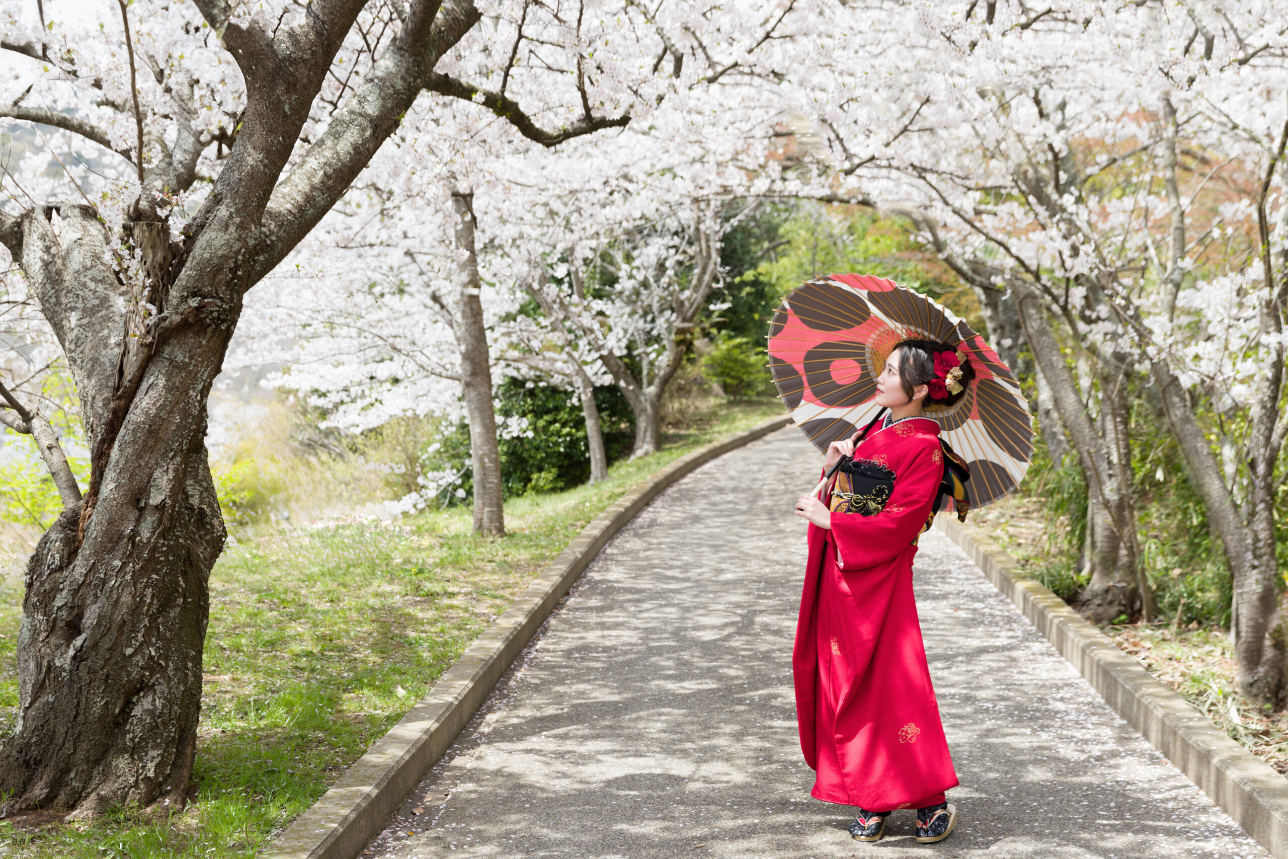 alt="香川県三豊市 キング写真館 成人式前撮り"